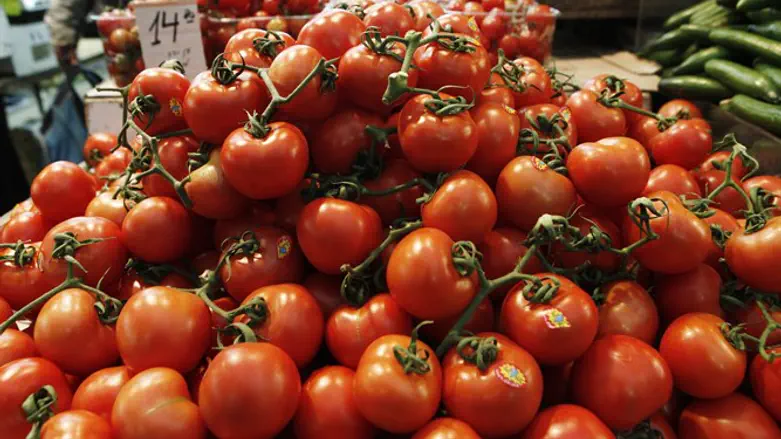 Gazan tomatoes to IDF?