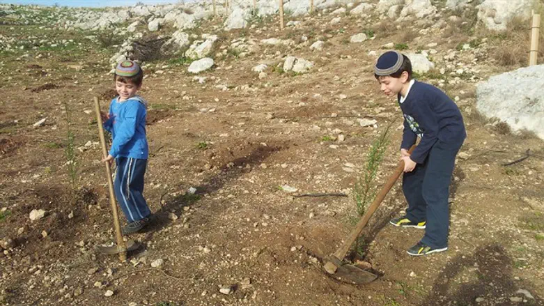 Tree planting in honor of Tu B'Shvat