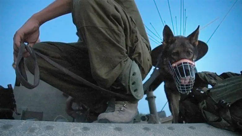 IDF's Oketz canine unit (file)