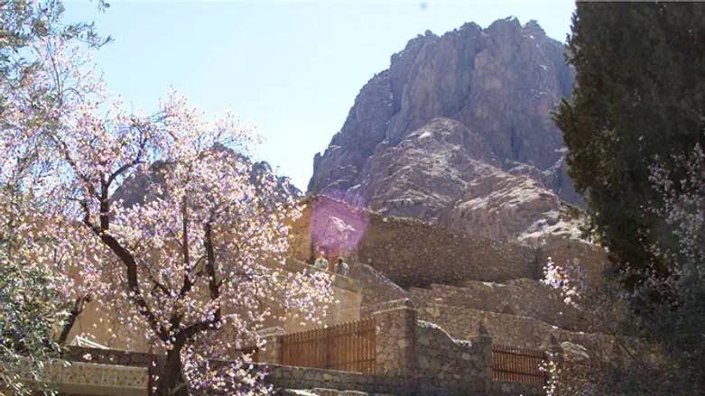 Monastery in Sinai Peninsula