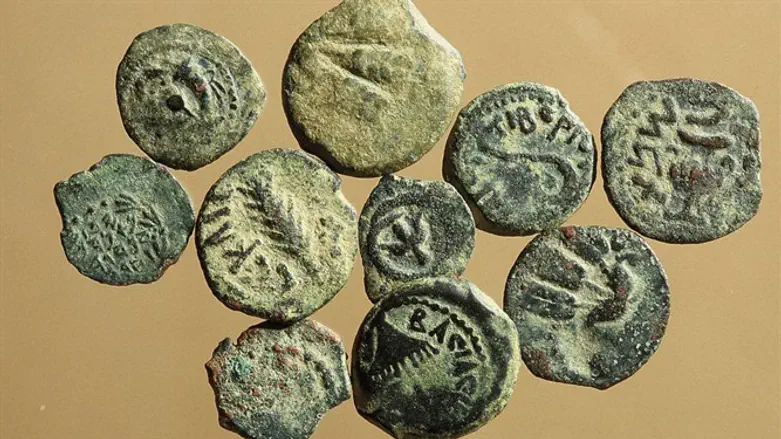 Coins discovered at site