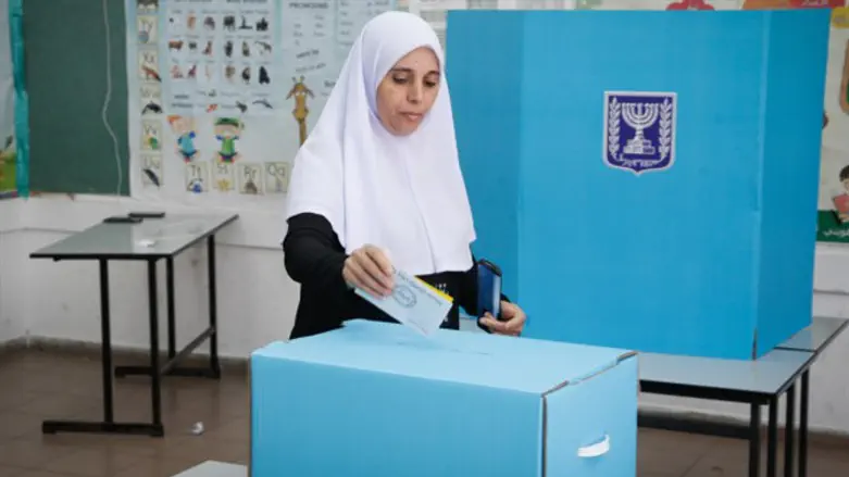 Arab voter (archive)