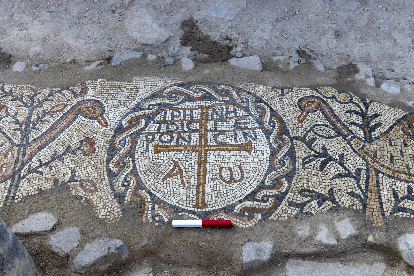 A close-up of the inscribed medallion flanked by Egyptian geese.
