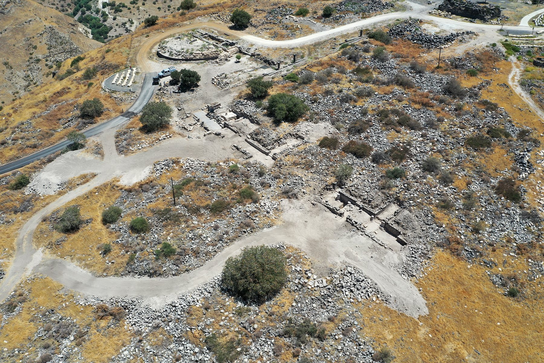 The mosaic of the elders' excavation area within one of Hippos’ living blocks.