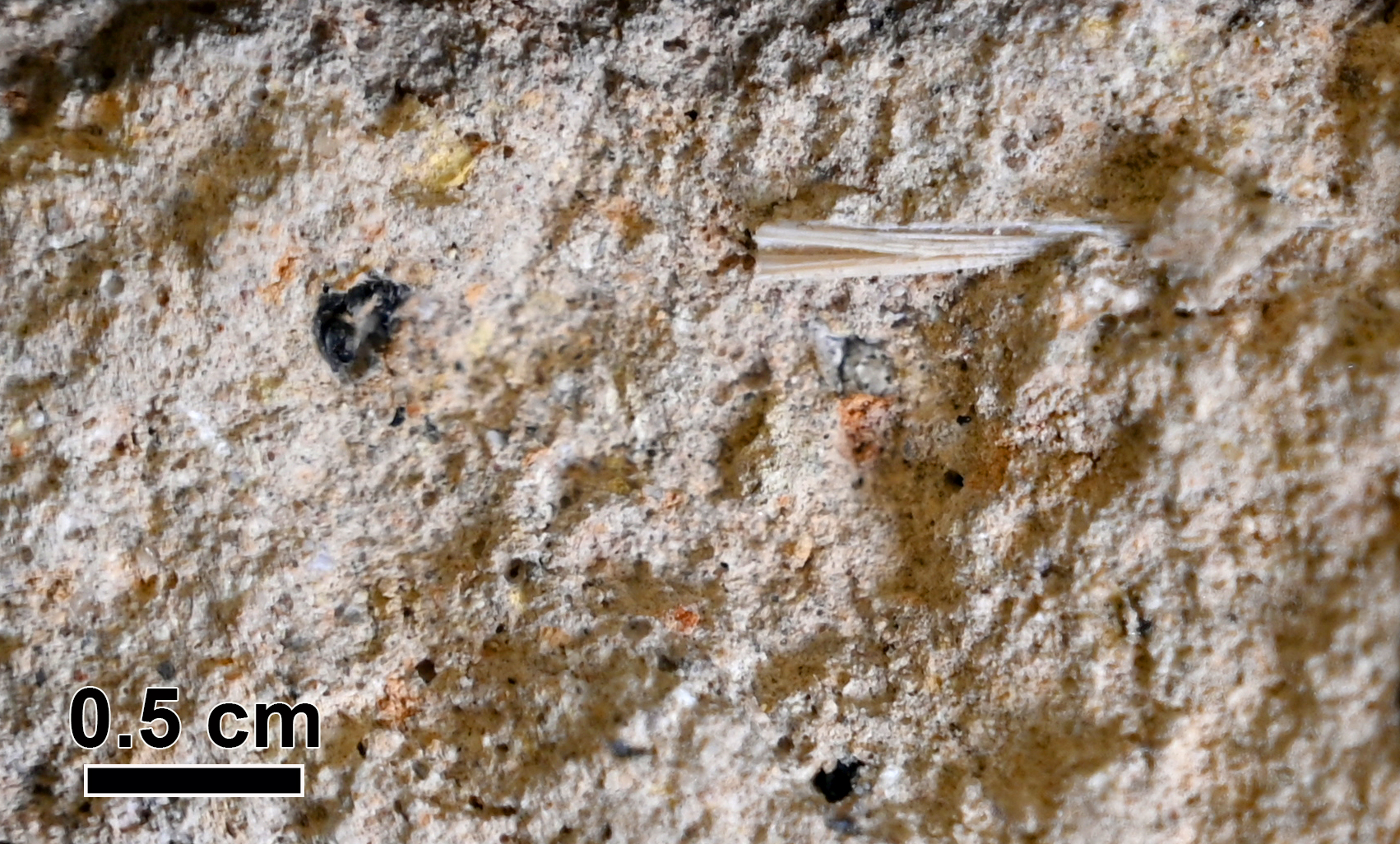 The straw that broke the dam: microscopic straw samples embedded in the dam’s mortar during construction led to an exceptional dating achievement.