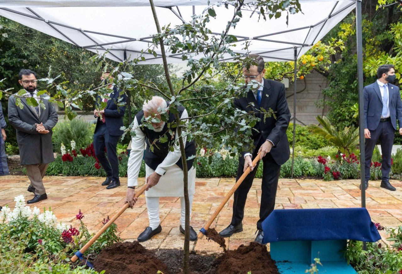 Narendra Modi (L) and Isaac Herzog (R) plant an oak tree