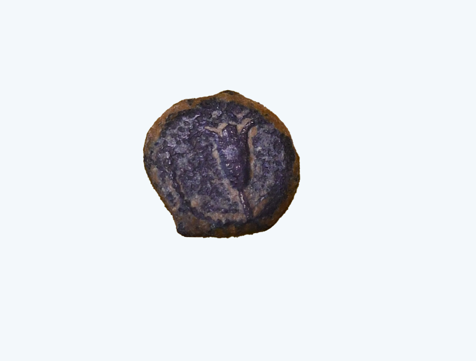 Ancient 'pruta' coin