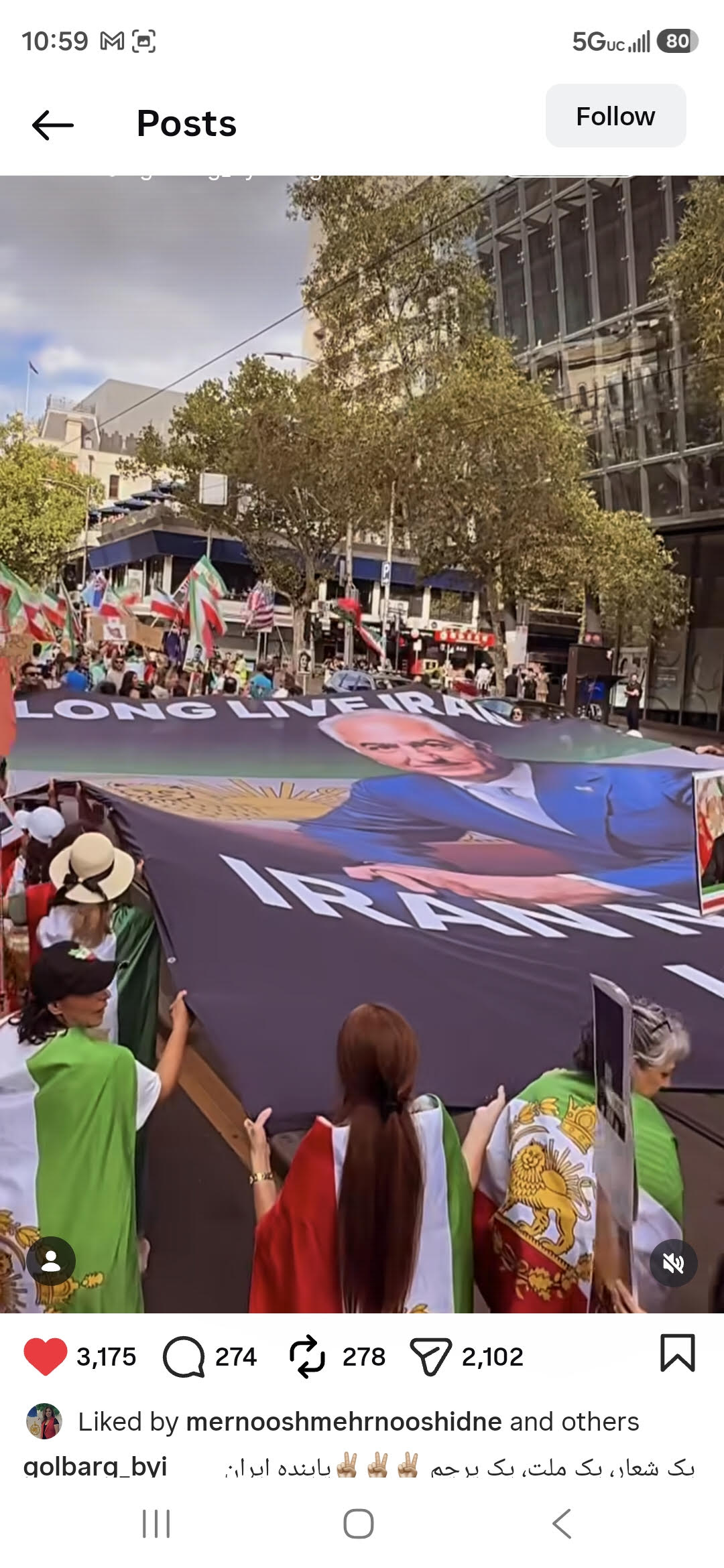 Expatriate Iranian protests