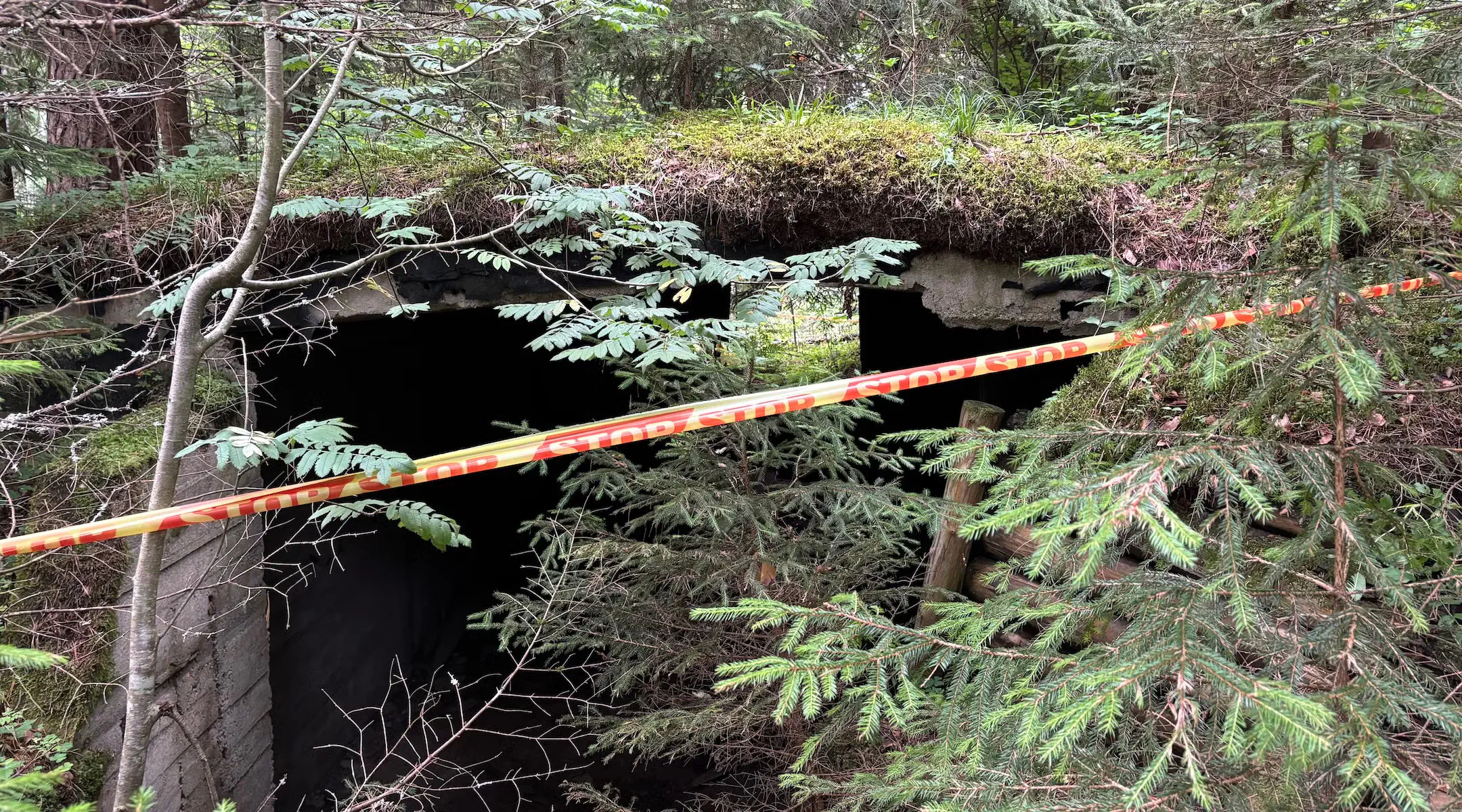 A fort in Rūdninkai Forest is cordoned off with tape that says “STOP."                                                                      Shira Li Bartov