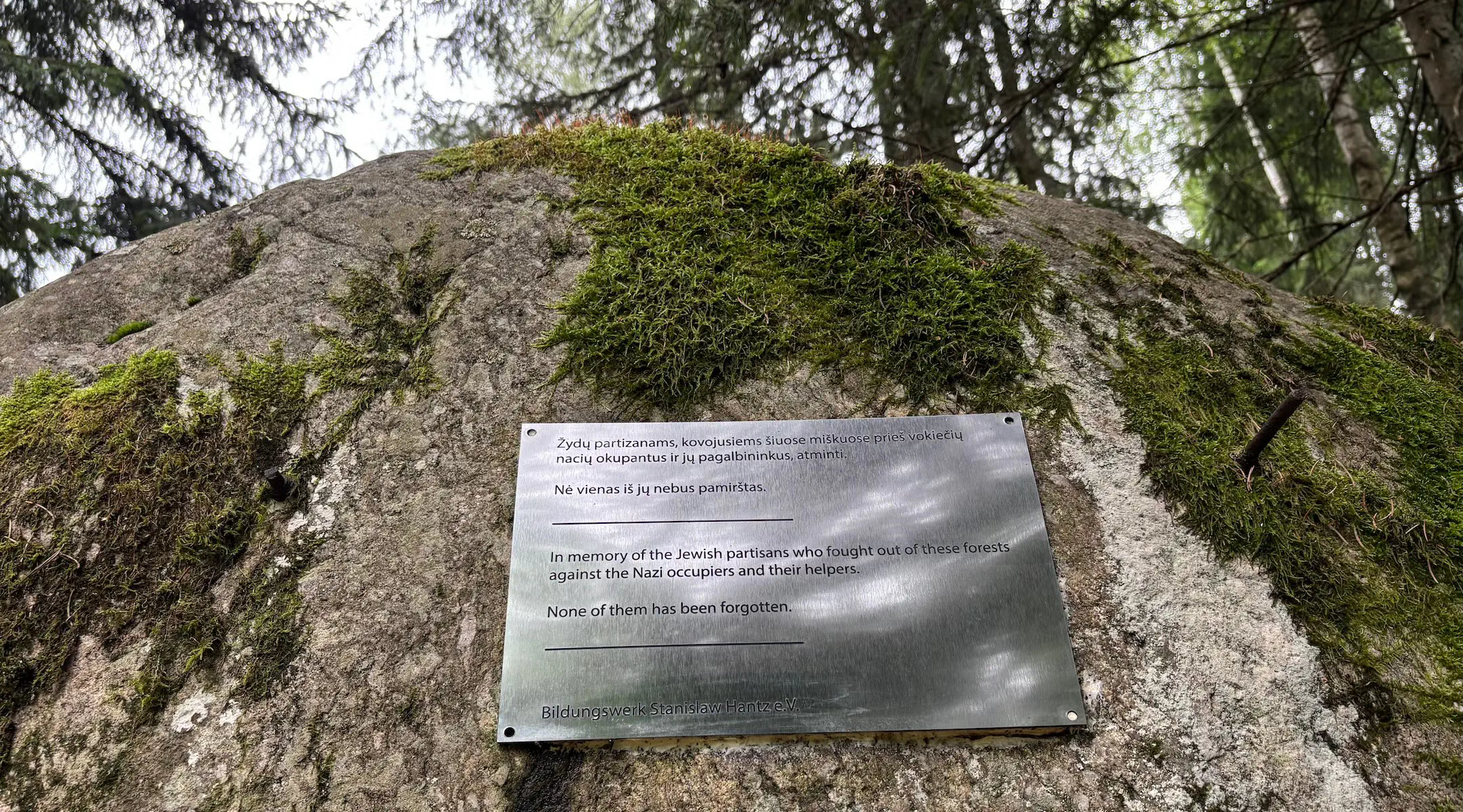 A plaque installed by the German organization Bildungswerk Stanisław Hantz on a boulder near the forts reads, “In memory of the Jewish partisans who fought out of these forests against the Nazi occupiers and their helpers."   Credit: Shira Li Bartov