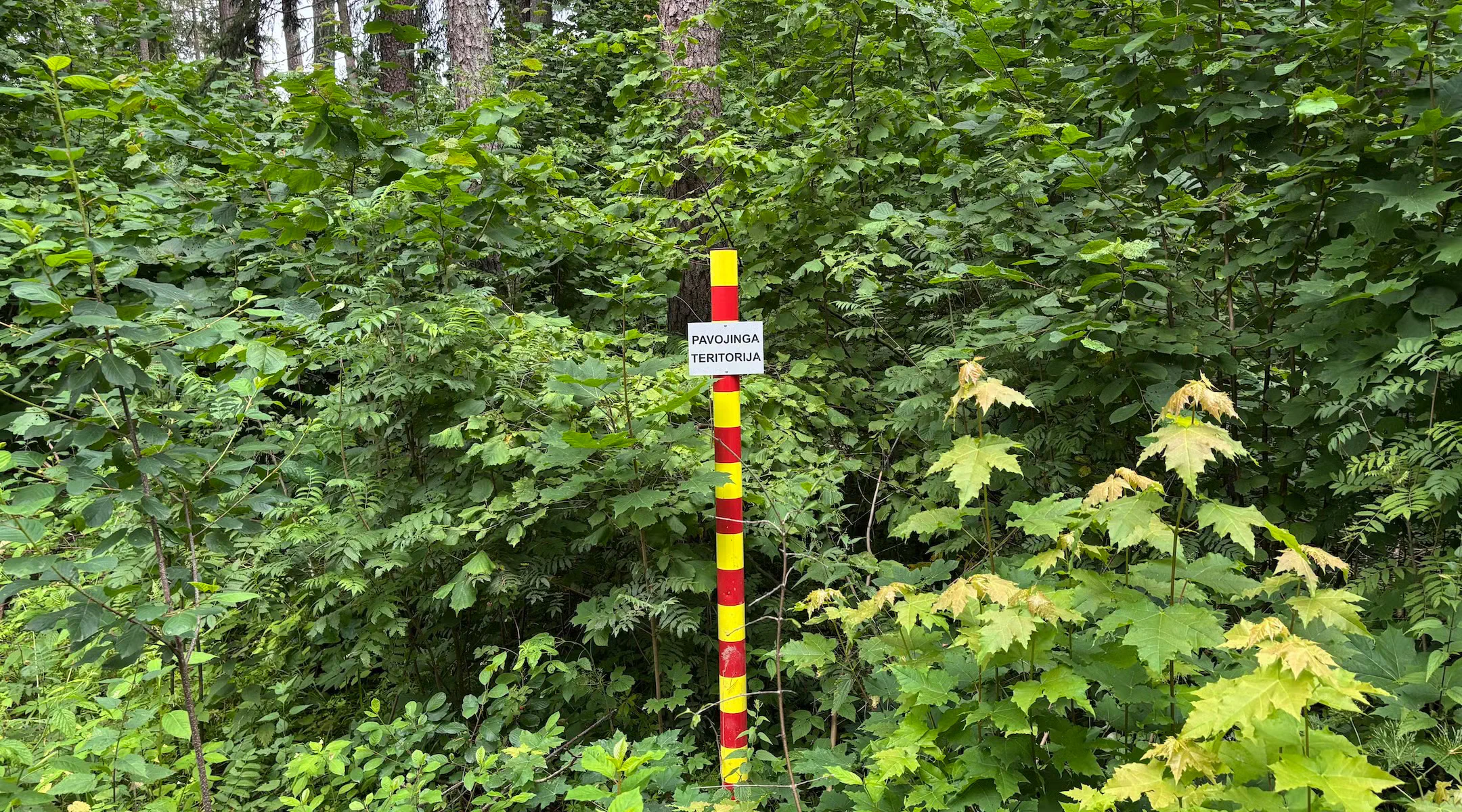 A sign reads "Dangerous area" in Lithuanian near the forts in Rūdninkai Forest.                                           Credit: Shira Li Bartov