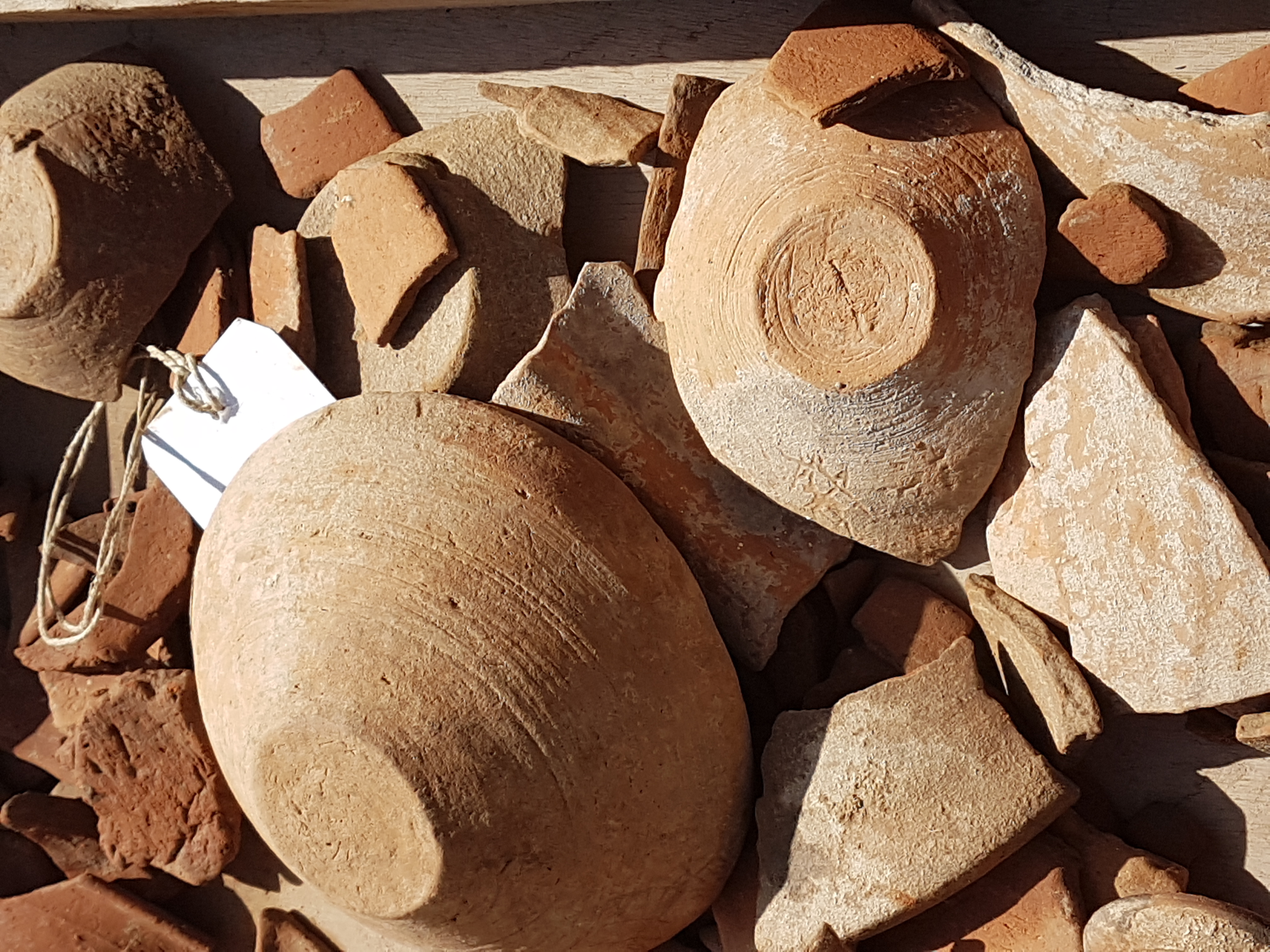 Canaanite bowls uncovered during the excavations at Gal'on.