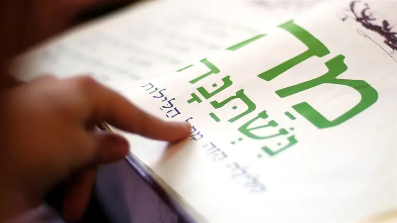 Poll: 80% of US Jews plan to celebrate Pesach Seder