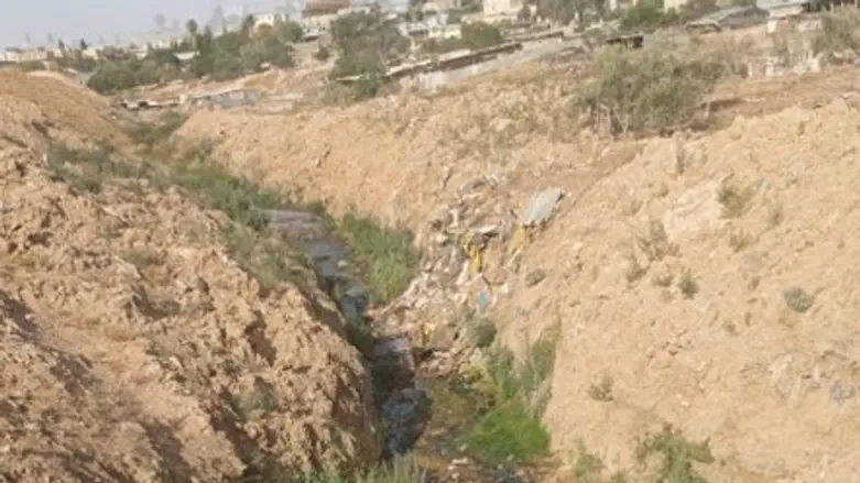 Sewage, blood, waste: Environmental terrorism under the auspices of the Rahat municipality