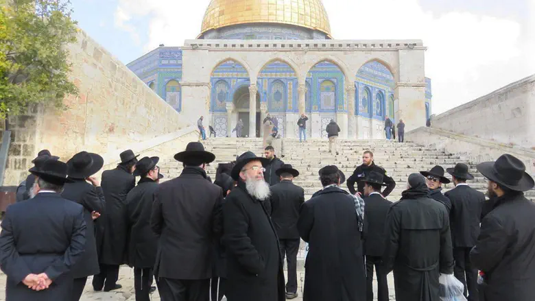 The hasidic rebbe's surprising ruling