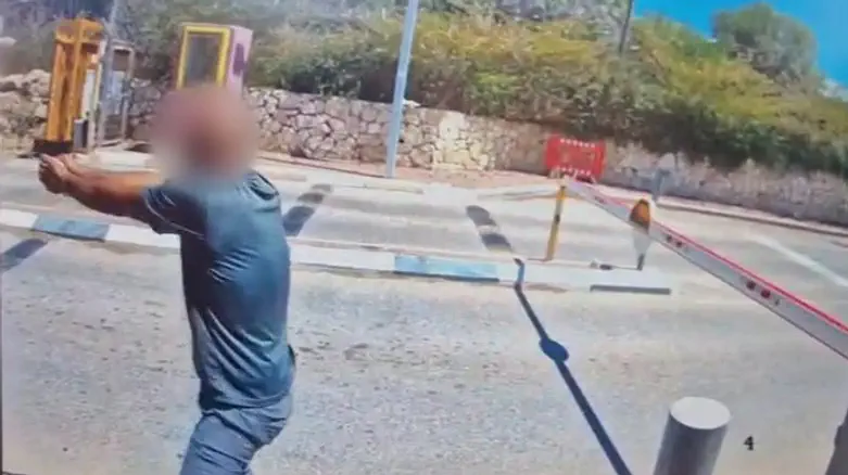 Footage from scene: Security coordinator returns fire, drive