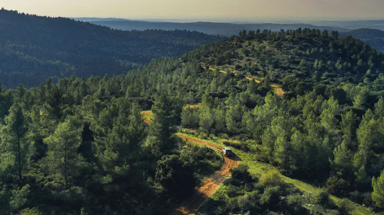 The luxury of being in harmony with nature