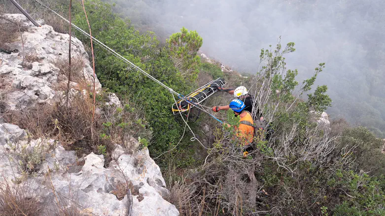 Driver survives 15-meter plunge from cliff in Carmel Park
