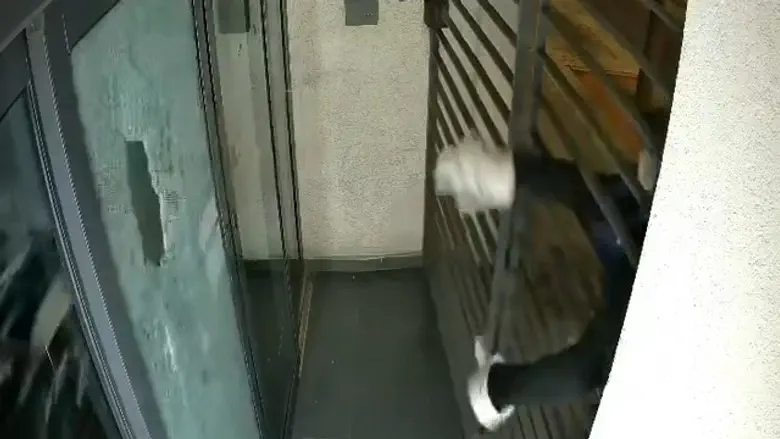 Watch: Vandal smashes Haaretz door