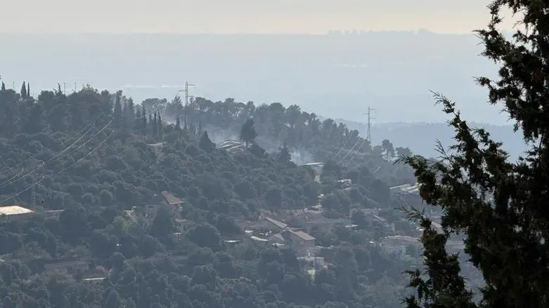 Wildfire near Beit Shemesh under control
