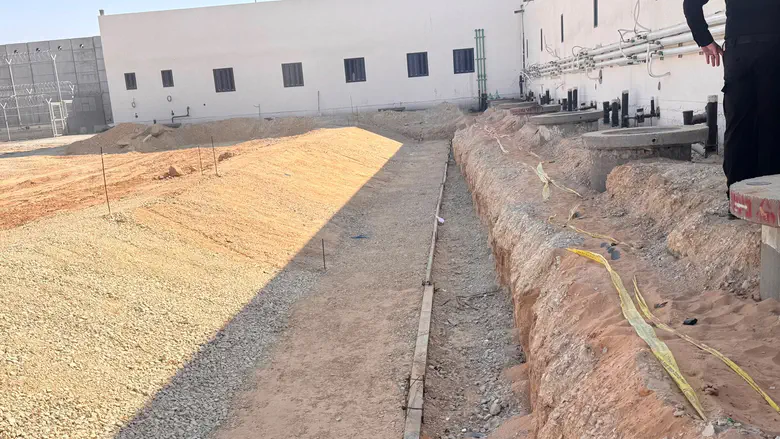 A look into Israel's planned crocodile moats
