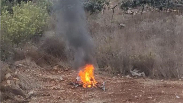 Drone intercepted by IDF