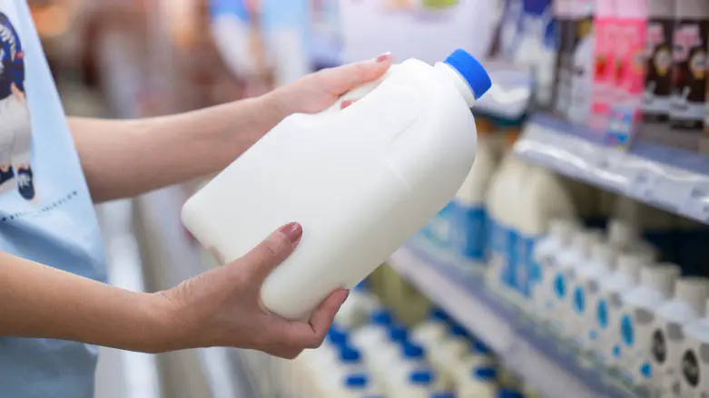 Kosher milk production in the United States