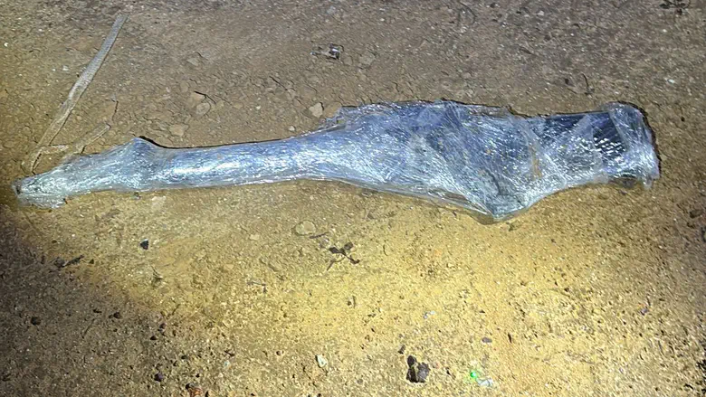 The rifle thrown from the car