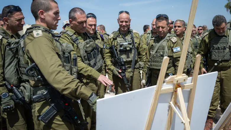 זמיר ובלוט ביהודה ושומרון