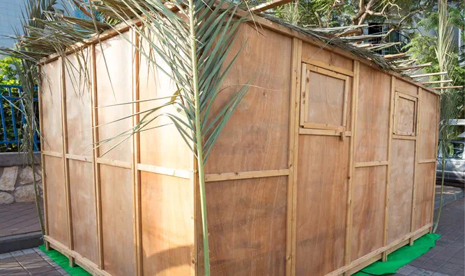 Why Is the Sukkah Covered With Plant Material (Schach)? 