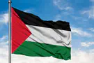 Five detained after waving PLO flags during protest