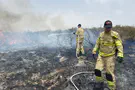 Heat wave brings spate of brushfires throughout Israel