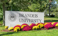 Brandeis president says university is trying to force him out