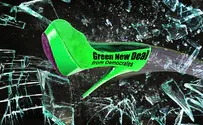 Green New Deal - 'False feeling of economic stability'