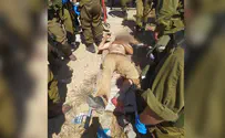 Terrorist shot during infiltration into Samaria town