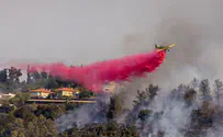 Israel turns to international aid for firefighting assistance