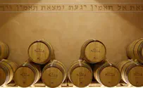 Inside Spain's thriving kosher wine industry 