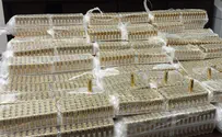 Attempted smuggling of 7,000 bullets to Gaza thwarted