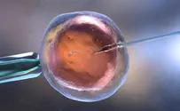 Israeli researchers discover way to make IVF more effective