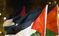 Police remove PLO flags in the north