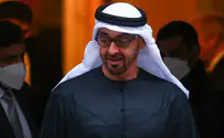 The concerning message from UAE President's close associate