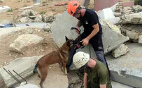 Israel Dog Unit trains local responders for building collapse