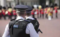 Man arrested for throwing cartridges at Buckingham Palace