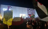 Dozens wave PLO flags at anti-govt. protest
