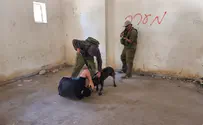 Israel Dog Unit increases counterterror dog deployments