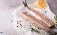 Shortage of herring possible on Simchat Torah