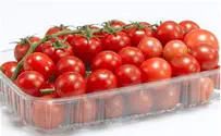 Heat Wave Sends Tomato Prices Soaring
