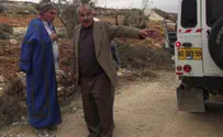 Arabs Uproot Trees in Etzion Bloc – but Jews Stand Fast