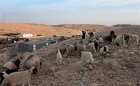 Govt Sneaks Through Huge Land Giveaway for Bedouin
