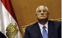 Egypt's Interim President Sets Timetable for Elections